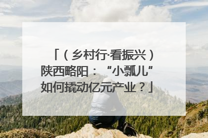 （乡村行·看振兴）陕西略阳：“小瓢儿”如何撬动亿元产业？