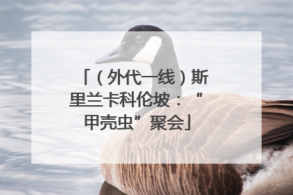 （外代一线）斯里兰卡科伦坡：“甲壳虫”聚会
