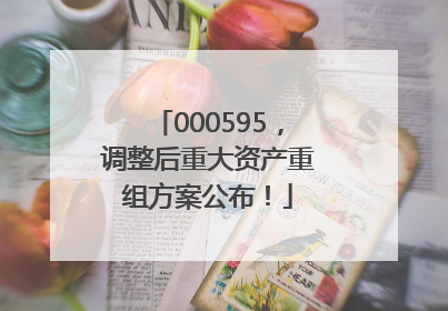 000595，调整后重大资产重组方案公布！