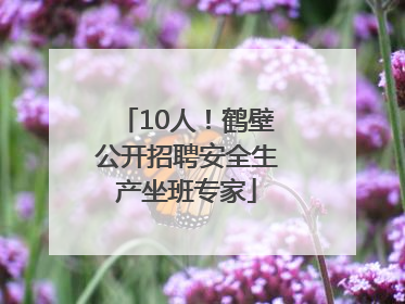 10人！鹤壁公开招聘安全生产坐班专家