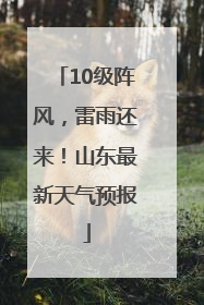 10级阵风，雷雨还来！山东最新天气预报