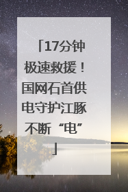 17分钟极速救援！国网石首供电守护江豚不断“电”