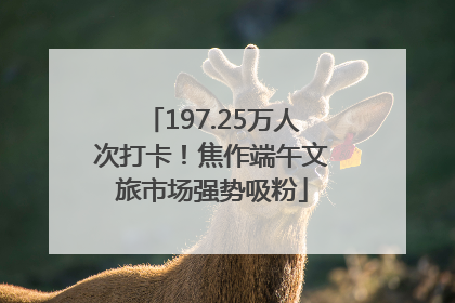197.25万人次打卡！焦作端午文旅市场强势吸粉
