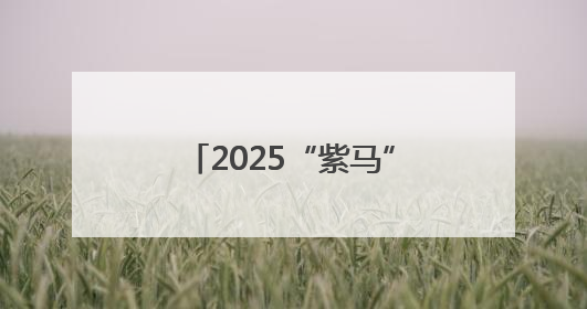 2025“紫马”奖牌、服装亮相啦→快来一睹风采吧！