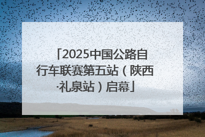 2025中国公路自行车联赛第五站（陕西·礼泉站）启幕