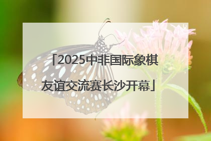 2025中非国际象棋友谊交流赛长沙开幕