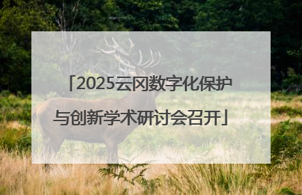 2025云冈数字化保护与创新学术研讨会召开