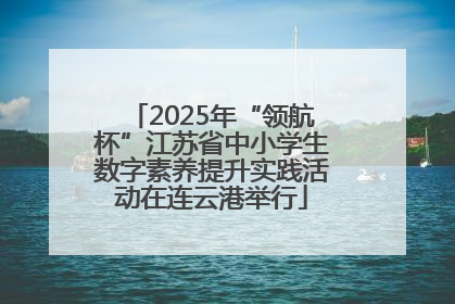 2025年“领航杯”江苏省中小学生数字素养提升实践活动在连云港举行