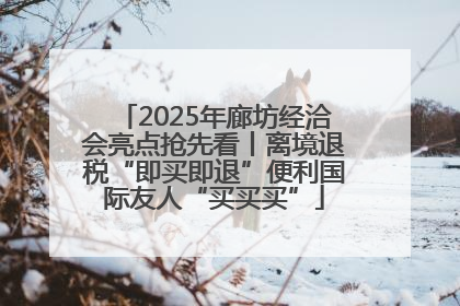 2025年廊坊经洽会亮点抢先看丨离境退税“即买即退”便利国际友人“买买买”