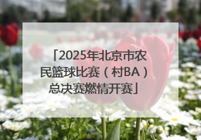 2025年北京市农民篮球比赛（村BA）总决赛燃情开赛