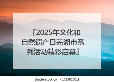 2025年文化和自然遗产日芜湖市系列活动精彩启幕