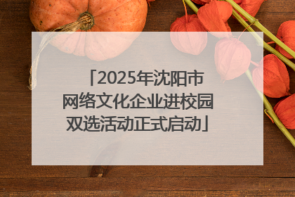 2025年沈阳市网络文化企业进校园双选活动正式启动
