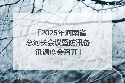 2025年河南省总河长会议暨防汛备汛调度会召开