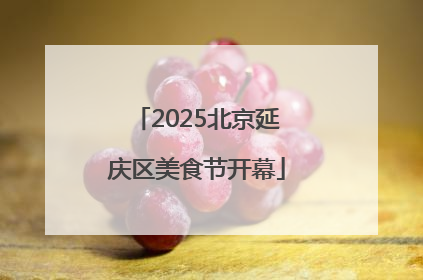 2025北京延庆区美食节开幕