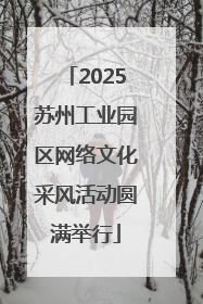 2025苏州工业园区网络文化采风活动圆满举行