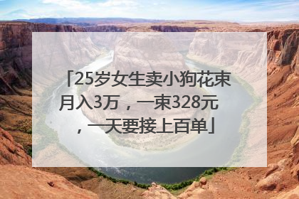 25岁女生卖小狗花束月入3万，一束328元，一天要接上百单