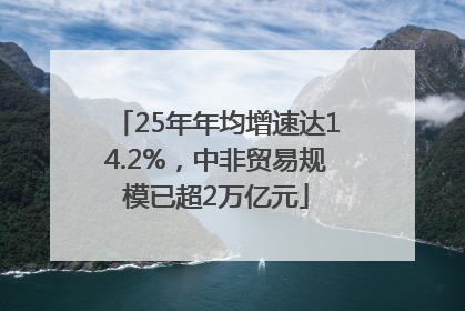 25年年均增速达14.2%，中非贸易规模已超2万亿元