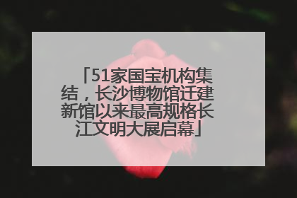 51家国宝机构集结，长沙博物馆迁建新馆以来最高规格长江文明大展启幕
