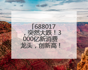688017，突然大跌！3000亿新消费龙头，创新高！A股“泡泡玛特们”，涨疯了