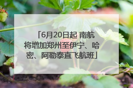 6月20日起 南航将增加郑州至伊宁、哈密、阿勒泰直飞航班