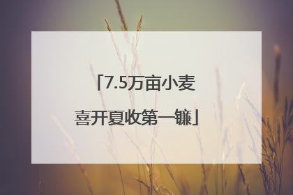 7.5万亩小麦喜开夏收第一镰