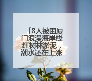 8人被困厦门浪漫海岸线红树林淤泥，潮水还在上涨！当地紧急救援全部脱困