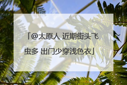 @太原人 近期街头飞虫多 出门少穿浅色衣