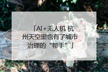 AI+无人机 杭州天空里也有了城市治理的“帮手”