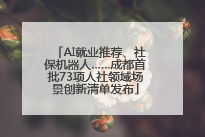 AI就业推荐、社保机器人……成都首批73项人社领域场景创新清单发布