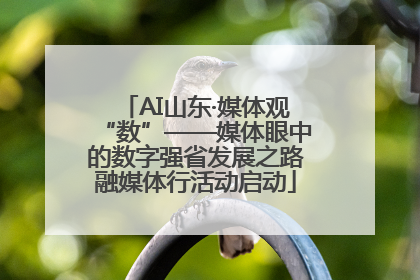 AI山东·媒体观“数”——媒体眼中的数字强省发展之路融媒体行活动启动