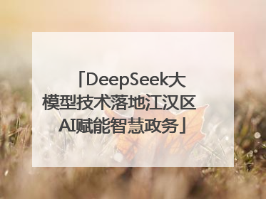 DeepSeek大模型技术落地江汉区 AI赋能智慧政务