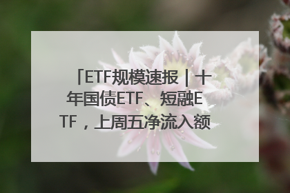 ETF规模速报｜十年国债ETF、短融ETF，上周五净流入额均超20亿元