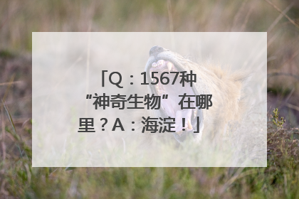 Q：1567种“神奇生物”在哪里？A：海淀！